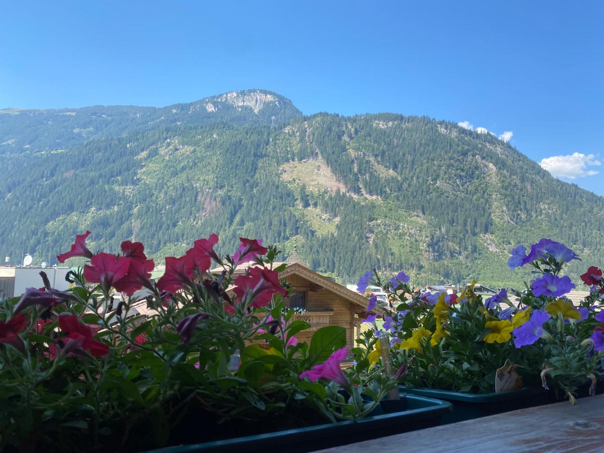 Pension Schwemberger Ohne Fruehstueck Mayrhofen Ngoại thất bức ảnh